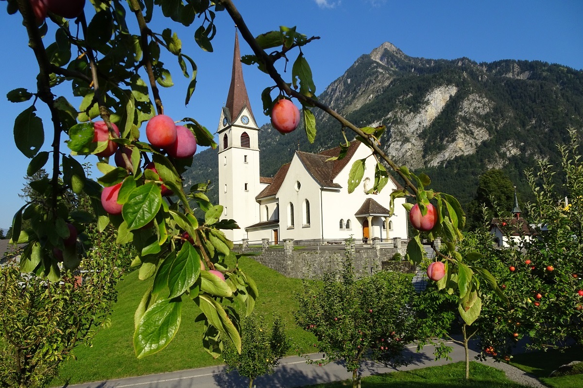 Gemeinschaftsgarten Ennetmoos