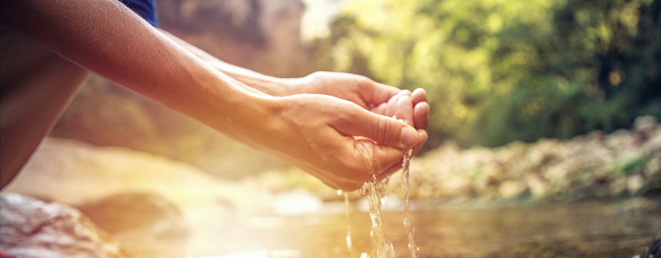 Kirche wird, wenn Gott uns Leben schenkt